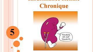 Insuffisance Rénale Chronique [upl. by Carlson896]