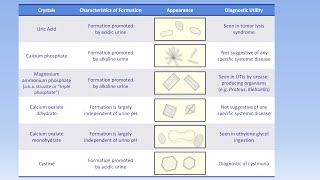 Interpretation of the Urinalysis Part 3  Microscopy and Summary [upl. by Nivalc]