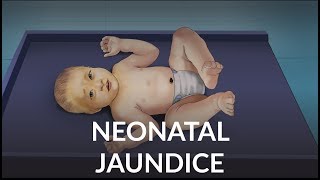 Neonatal Jaundice by L Veit  OPENPediatrics [upl. by Freedman]