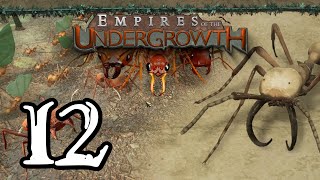 Empires of the Undergrowth  12  quotThe Harvestquot [upl. by Biddy274]