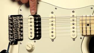 Fender USA Professional Standard Stratocaster HSS Demo [upl. by Nevaeh430]