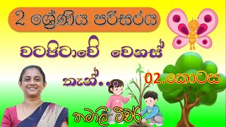 10 ‌11  ‌Grade Sinhala සිංහල  Sathara Kan Manthranaya full story  සතර කන් මන්තත්‍රණය Part 01 [upl. by Laven]