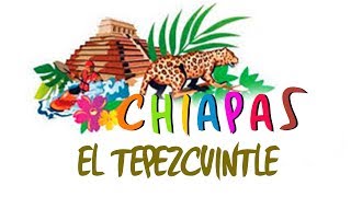 Chiapas  El Tepezcuintle [upl. by Luanni]