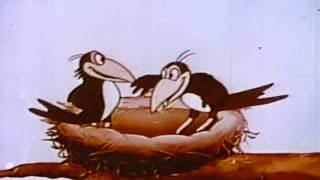 THE TALKING MAGPIES  Full Cartoon Episode [upl. by Ahsikat]