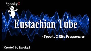 Eustachian Tube  Spooky2 Rife Frequencies [upl. by Zoi854]