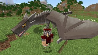 NIEUWE DRAKEN IN MINECRAFT [upl. by Henleigh4]