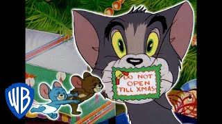 Tom y Jerry en Latino  Mi hogar en Navidad  WB Kids [upl. by Rind]