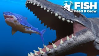 MOSASAUR vs MEGALODON  Fish Feed Grow [upl. by Rebeh]