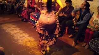 Flamenco Dance by Spanish Gypsies Part 1 [upl. by Ruth201]