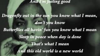 Nina Simone  Feeling Good Lyrics [upl. by Obediah]