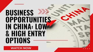 Chinas Business Landscape Discover Profitable Entry Points [upl. by Markson583]