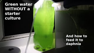 Green Water WITHOUT a Starter Culture  From Scratch  How To [upl. by Sproul]