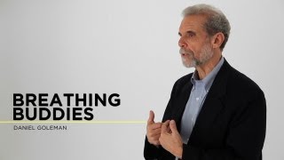 Daniel Goleman Breathing Buddies [upl. by Singleton]