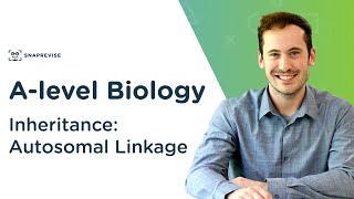 Inheritance Autosomal Linkage  Alevel Biology  OCR AQA Edexcel [upl. by Santana917]