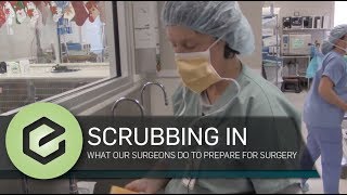 Scrubbing in How Veterinary Surgeons Scrub In For Each Surgery [upl. by Farley]