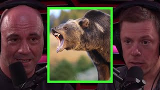 Steve Rinella Details After Effects of Grizzly Bear Encounter [upl. by Notsuoh]