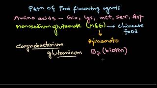 Monosodium glutamate production [upl. by Gottlieb132]