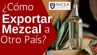 ¿Cómo Exportar Mezcal a Otro País [upl. by Adiene259]