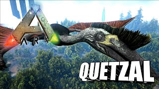 Taming A Quetzal  Ark Survival Evolved  The Island [upl. by Thalassa]