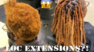 Loc Extension Tutorial Crochet Method [upl. by Nilpik514]