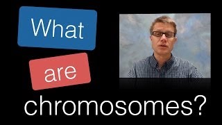 What are Chromosomes [upl. by Tanya282]