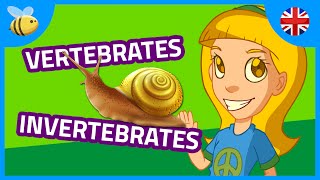 Vertebrates and Invertebrates Animals part 1  Kids Videos [upl. by Foscalina]