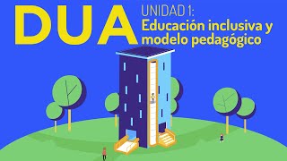 DUA Diseño Universal para el Aprendizaje – Educación inclusiva y modelo pedagógico [upl. by Averell635]