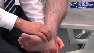 Ankle and Foot Examination Demonstration [upl. by Stoecker]