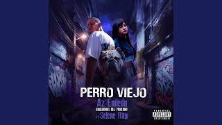 Perro Viejo [upl. by Levi]