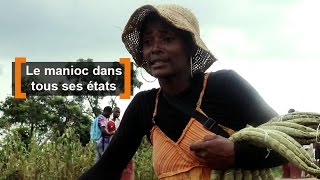 Cameroun  Le manioc dans tous ses états [upl. by Hsakiv]