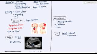 Key Biliary Tract  Cholestatic Diseases amp Labs Explained [upl. by Tedd287]