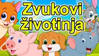 Zvukovi životinja  Dečija pesma o životinjama  Kako kažu životinje  Zvuci životinja  Animals [upl. by Keel]