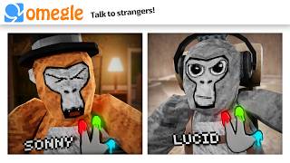 OMEGLE Trolling in Gorilla Tag [upl. by Viens117]