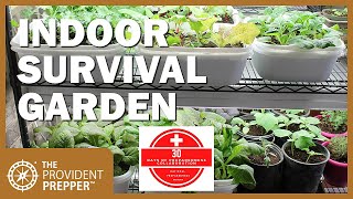 How to Grow an Indoor Survival Garden [upl. by Oitaroh]