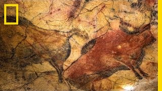 Did Humans Make These Ancient Cave Paintings  National Geographic [upl. by Hannej]