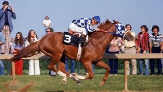 Preakness Stakes 1973 [upl. by Aimit178]