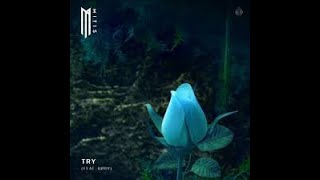 Try  MitiS Feat RORY [upl. by Aneerahs]