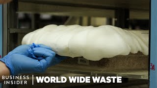 How Mushrooms Are Turned Into Bacon And Styrofoam  World Wide Waste [upl. by Keryt698]