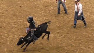 Calf Riding  2018 Junior Bull Riding National Finals NJBRA [upl. by Erika744]