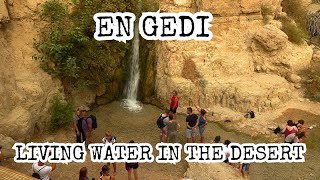 En Gedi Israel Living Water In the Desert Davids Hideout Masada Dead Sea Oasis Jer 213 [upl. by Corina581]