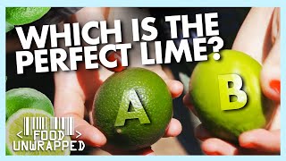 How to Pick the Perfect Lime and Avoid the Dry Ones  Food Unwrapped [upl. by Vasya]