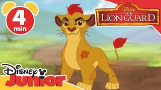 The Lion Guard  Learning Animals 🦁  Disney Kids [upl. by Lenni]