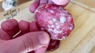 BASIC SALAMI RECIPE Dry Cured in Wine Fridge  Matt The Butcher [upl. by Lawrenson]