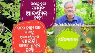 Brahmi  ବ୍ରାହ୍ମୀ  Memory Loss Treatment  VaidyaSala 4  Dr Prafulla Kumar Pradhan [upl. by Andrel]