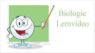 Diffusion amp Osmose  Biologie Lernvideo [upl. by Elleira]