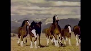 Top 10 Budweiser Super Bowl commercials 1 [upl. by Allertse]