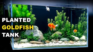 Aquascape Tutorial PLANTED GOLDFISH Aquarium The ORanchu Crew How To Full Step By Step Guide [upl. by Cosma8]