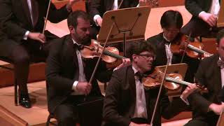 JS Bach  Chaconne arr for String Orchestra iPalpitiSchmieder [upl. by Sean]