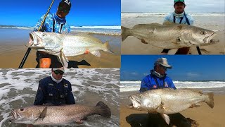 HOW TO MAKE A KOB TRACE HOW TO MAKE A TRACE FOR MULLOWAY SOUTH ARICAN KABELJOU [upl. by Donough443]