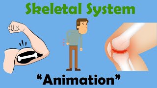 SKELETAL SYSTEM  Biology Animation [upl. by Ferree]